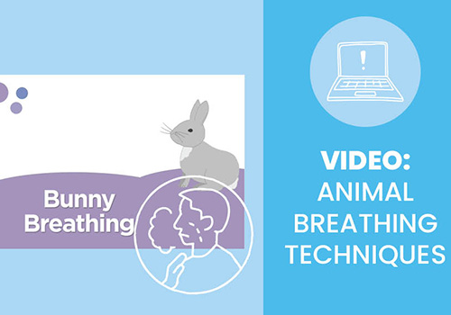 Cropped Animal Breathing Techniques Video thumbnail