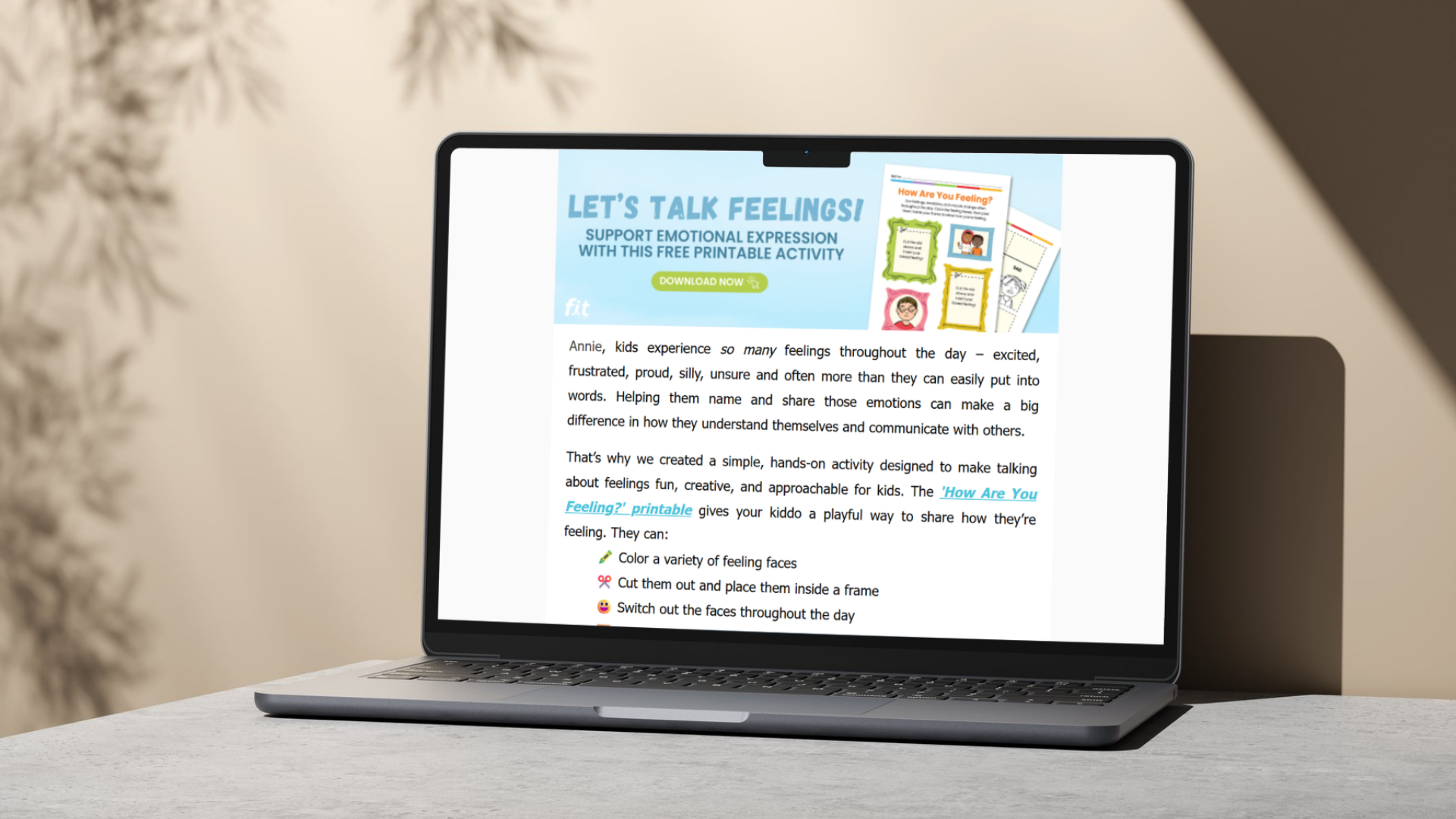 Computer with sanford fit email displayed