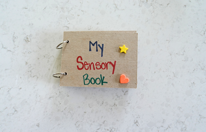Sensory Book Craft - Sanford fit