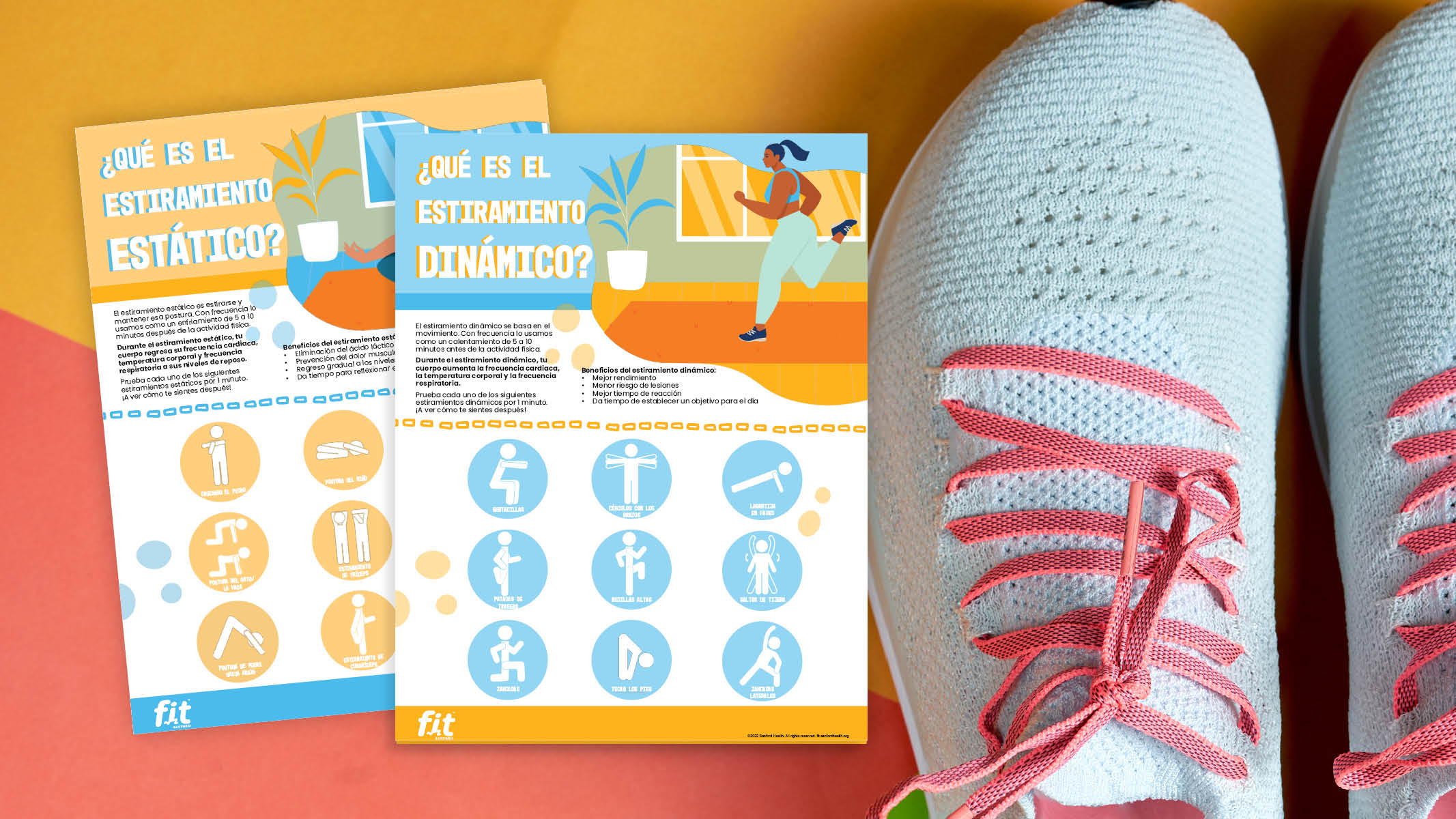 Dynamic and Static Stretching Posters (Español) Sanford Fit